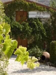 Front of Cyprus Winery